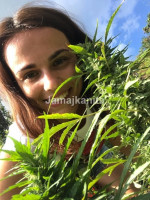 /album/fotogaleria-jamajka-zajazd-vy-a-my2/000-16-jpg7/